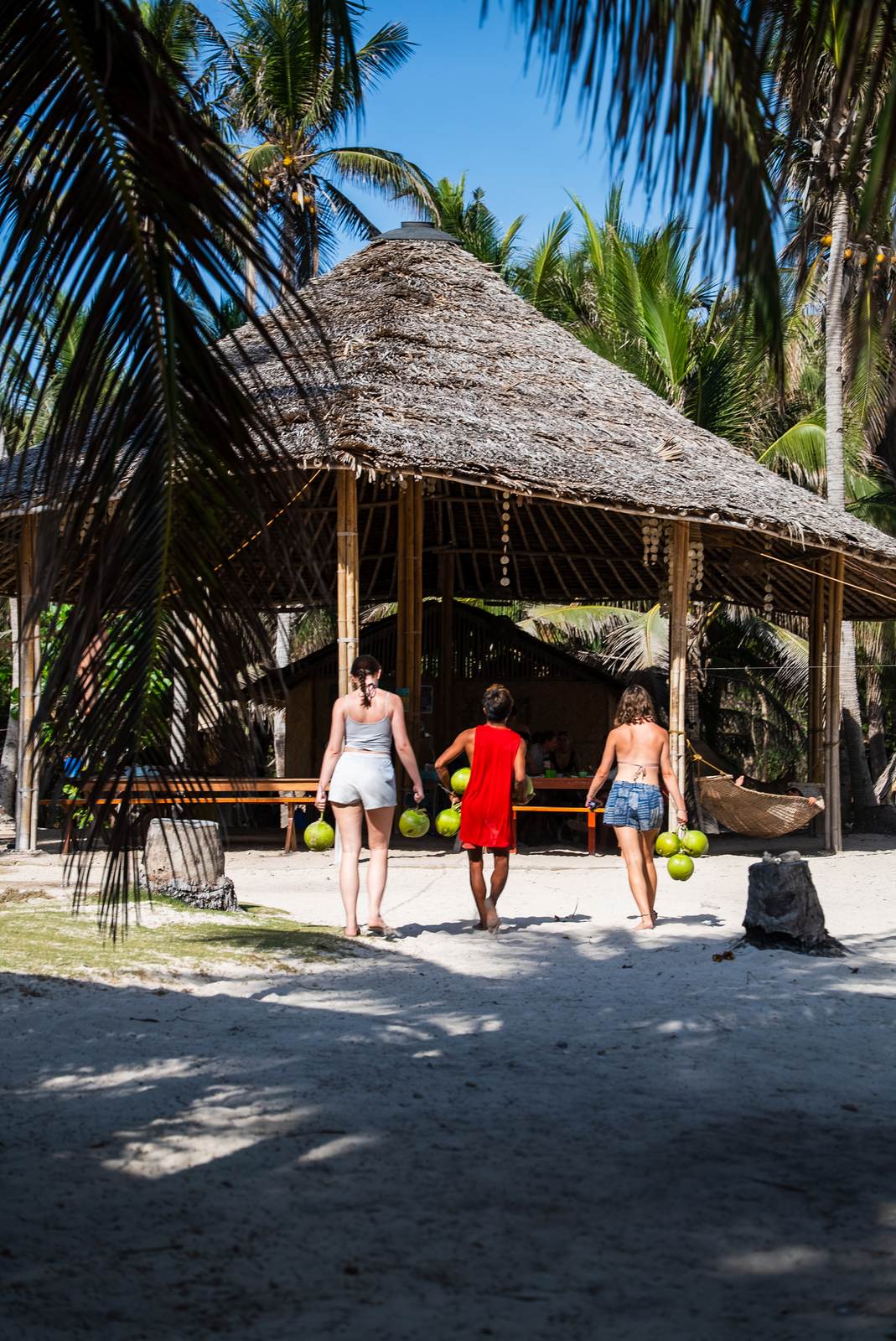 Guests and crew carrying fresh coconuts to the dining kubo at a Keelooma beach camp between El Nido and Coron, Palawan